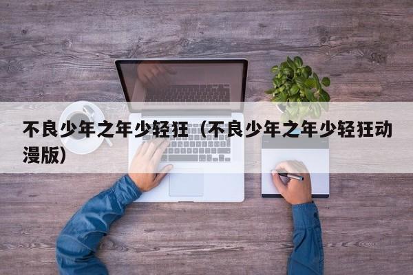 不良少年之年少轻狂(不良少年之年少轻狂动漫版)