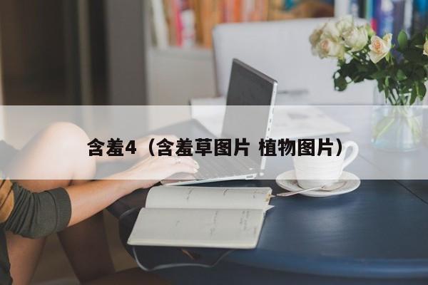 含羞4(含羞草图片 植物图片)