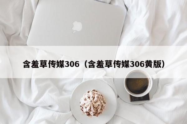 含羞草传媒306(含羞草传媒306黄版)